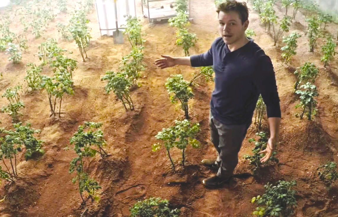 Cosecha tus propias frutas y verduras