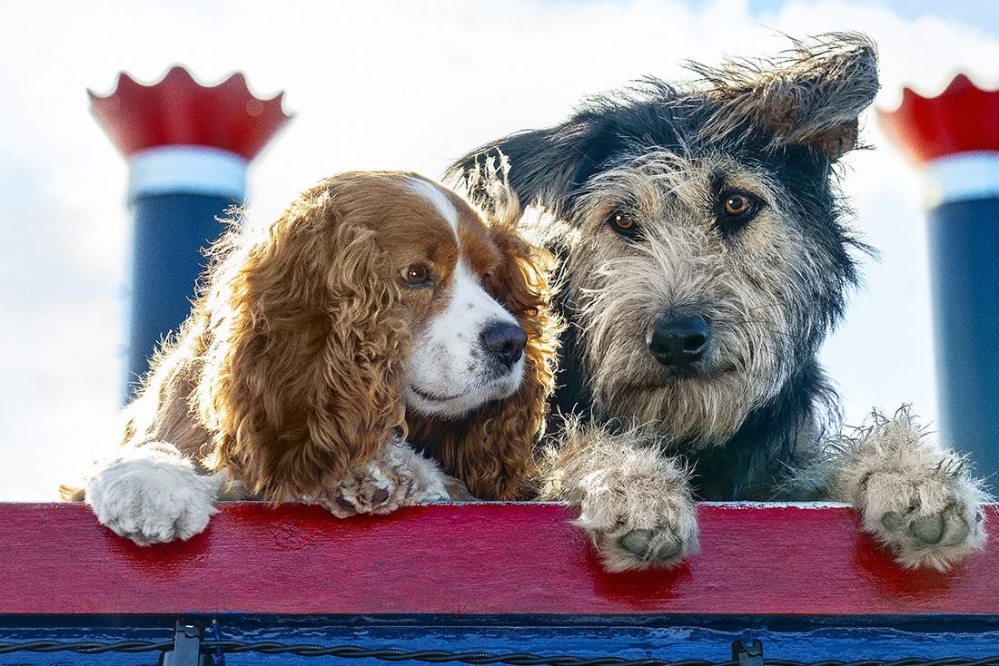 Lady and the Tramp La dama y el vagabundo 1