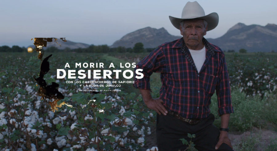 A morir a los desiertos, el canto cardenche al borde de la extinción