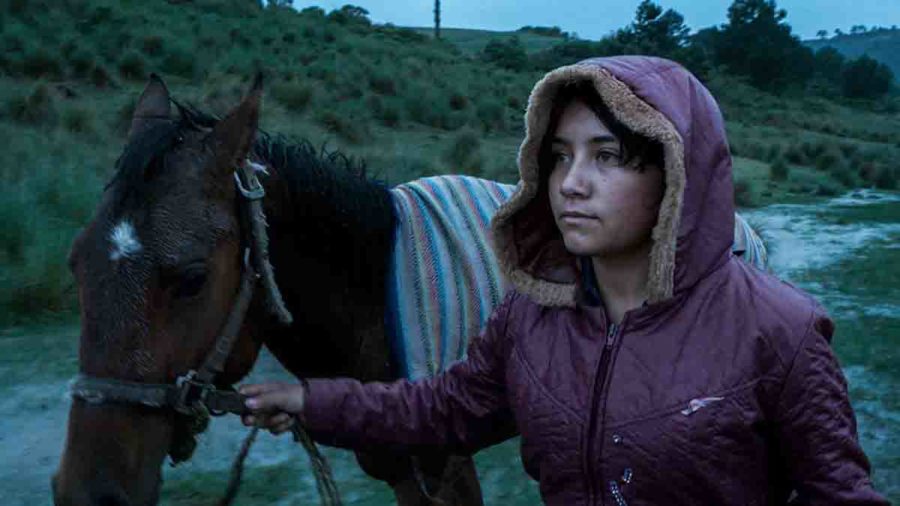 Berlinale 2023: Premian al documental mexicano El Eco, de Tatiana Huezo