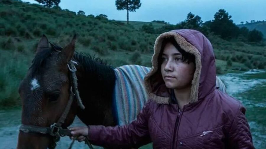 El Eco – Estreno, trailer y todo sobre el documental de Tatiana Huezo