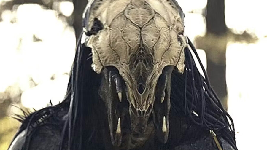 predator