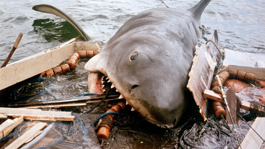 Tiburón, Steven Spielberg